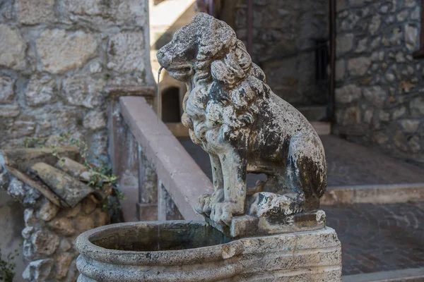 The fountain with the Lion — Stock Photo, Image