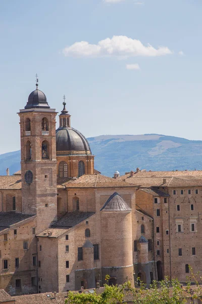 Katedralen i Urbino i Italien Stockfoto