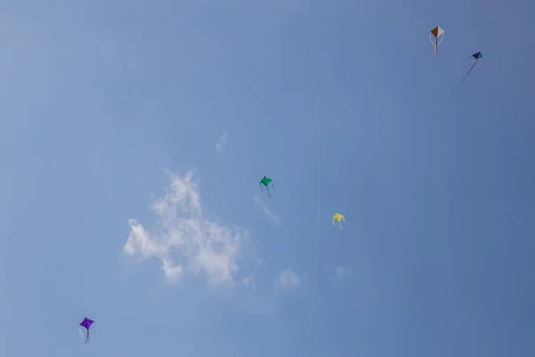Pipas coloridas voando no vento conduzido . — Fotografia de Stock