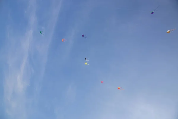 Pipas coloridas voando no vento conduzido . — Fotografia de Stock