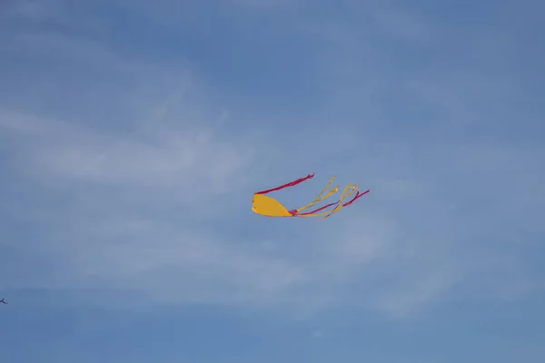 Renkli uçurtma tahrik rüzgarda uçan. — Stok fotoğraf