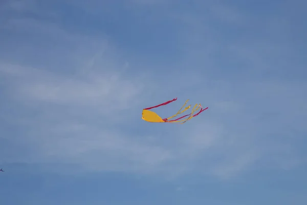 Pipas coloridas voando no vento conduzido . — Fotografia de Stock