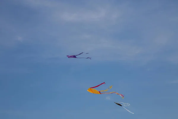 Aquiloni colorati che volano nel vento guidato . — Foto Stock