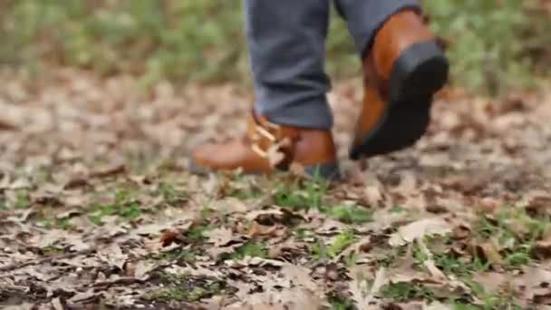 Mujer Jeans Botas Caminando Por Bosque Sobre Una Alfombra Hojas — Vídeo de stock