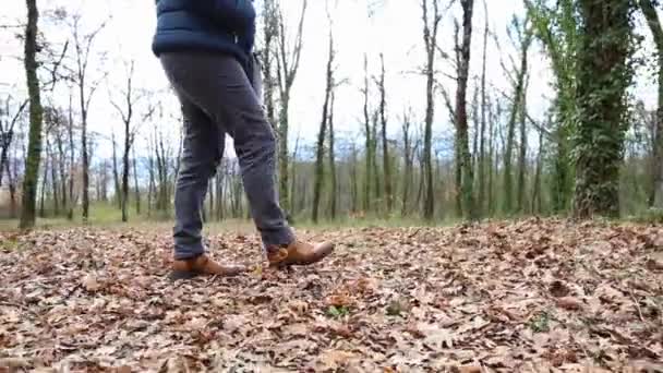 Mujer Jeans Botas Caminando Por Bosque Sobre Una Alfombra Hojas — Vídeo de stock
