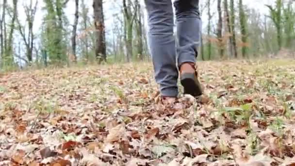 Mujer Jeans Botas Caminando Por Bosque Sobre Una Alfombra Hojas — Vídeos de Stock