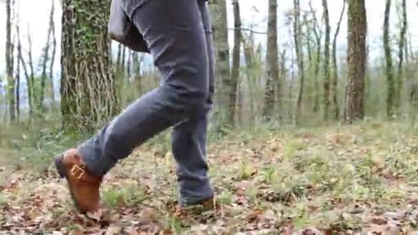 森の中を歩くジーンズとブーツを着た女性乾燥した葉のカーペットの上で — ストック動画