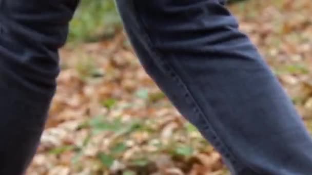 Donna Jeans Stivali Che Cammina Nel Bosco Tappeto Foglie Secche — Video Stock