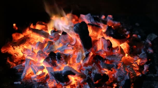 Kohleglut Feuer Mit Holzkohle Spange Für Den Grill — Stockvideo