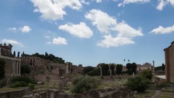 Juni 2018 Rome Italië Het Romeinse Forum Vervalt Toeristen Bezoeken — Stockvideo