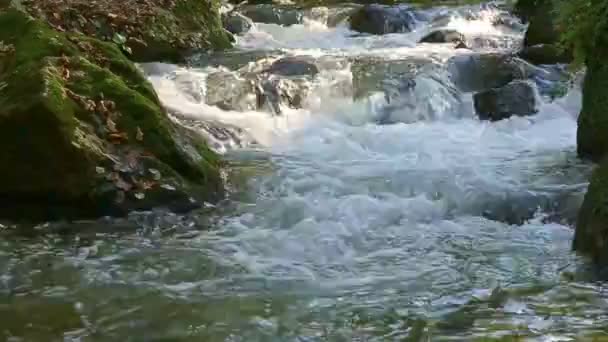 Het Water Dat Snel Stroom Stroomt Vormt Kleine Watervallen Sproeit — Stockvideo