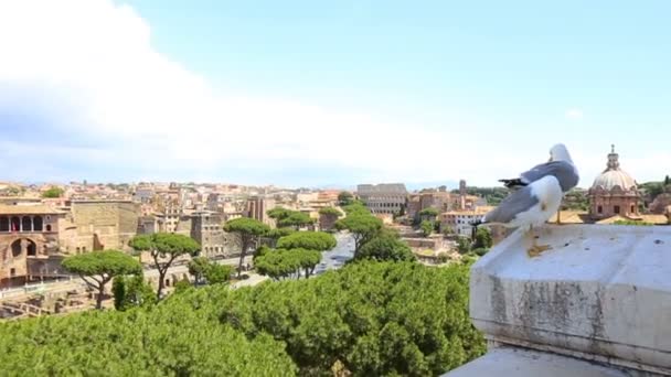 Άποψη Του Αυτοκρατορικού Δρόμου Τρύπες Και Κολοσσαίο Από Βικτωριανό Δύο — Αρχείο Βίντεο