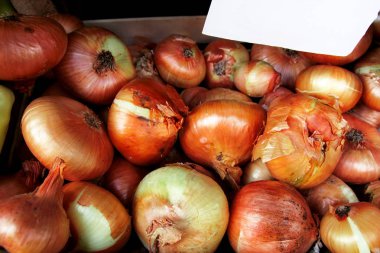 Organik taze soğan