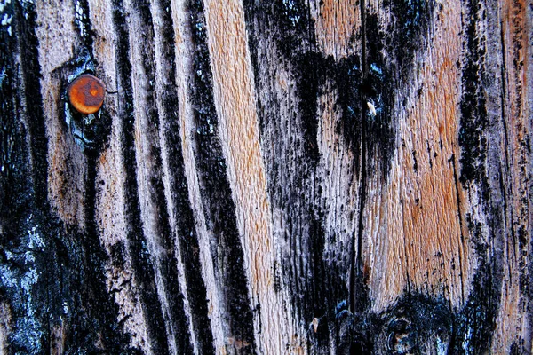 Parede de textura de madeira rústica velha — Fotografia de Stock