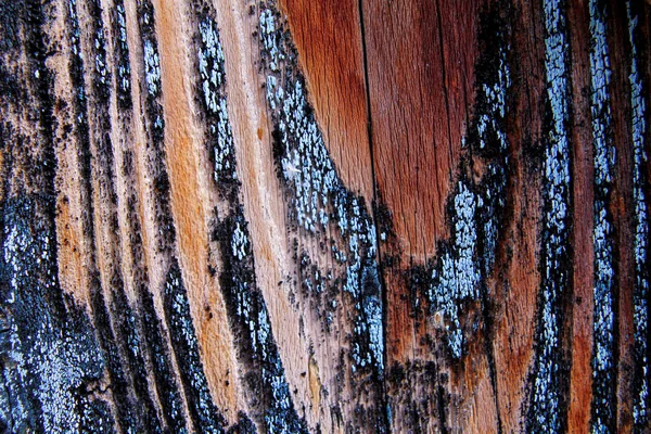 Parede de textura de madeira rústica velha — Fotografia de Stock