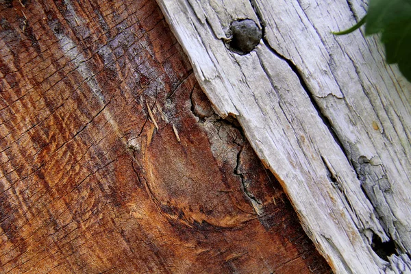 旧房子上的部分木质 — 图库照片