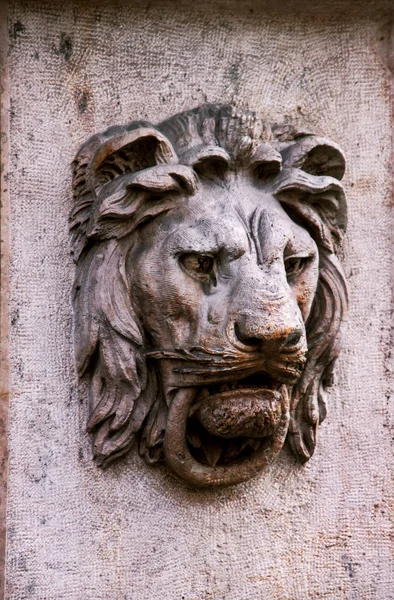布达佩斯建筑元素以狮子的动机 — 图库照片