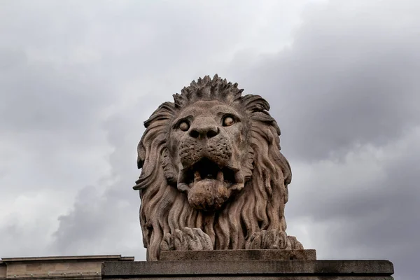 Estátua de leão em Budapeste com céu de fundo — Fotografia de Stock