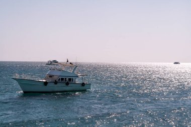 Red Sea'deki/daki motor yat tekne