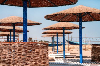 Bambu şemsiye plajda Mısır