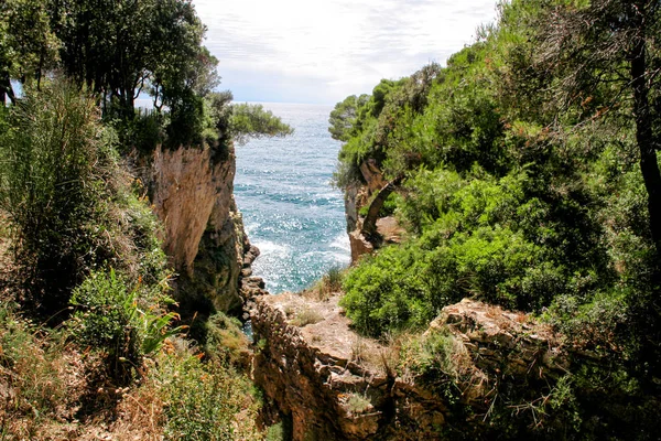 Baia e acque cristalline del Mare Adriatico — Foto Stock