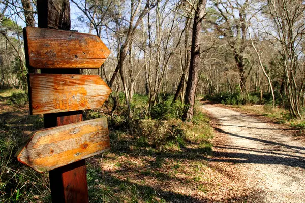 Un cartello lungo la strada nella natura della foresta — Foto Stock