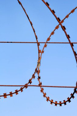 Koruyucu dikenli tel parçası. Güvenlik çit, kafes tel çit, yakın çekim. Mavi gökyüzünün bir arka plan üzerine dikenli tel.