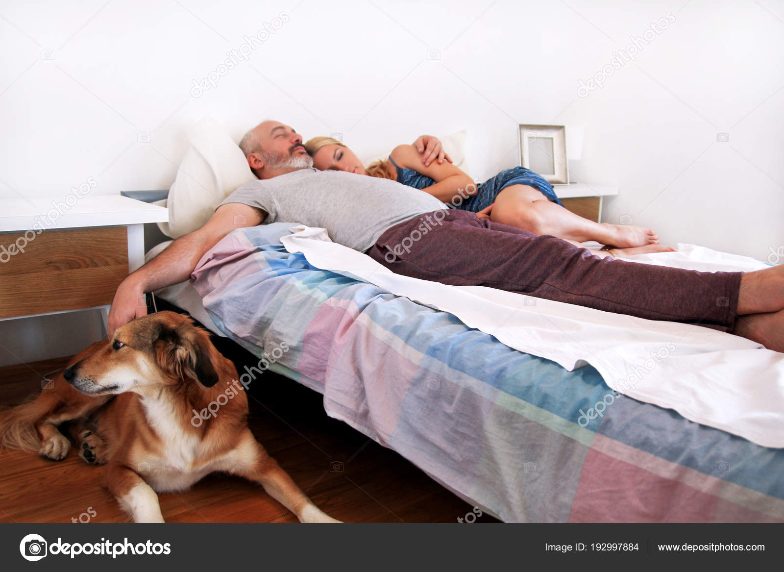 Rough Collie Dog Is Lying Near To The Bed And Resting In