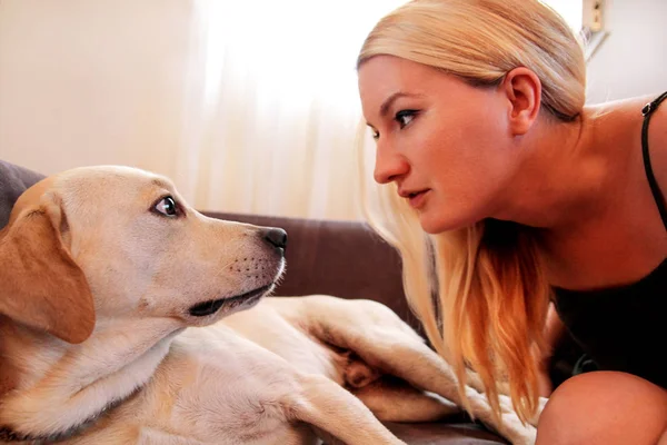 Femme avec des chiens. Le chien donne une patte à sa propriétaire féminine sur le canapé. Jolie jolie fille caressant et regardant son labrador jaune récupérateur chien couché dans le lit à la maison. Propriétaire s'amuser avec son concept d'animal de compagnie . — Photo