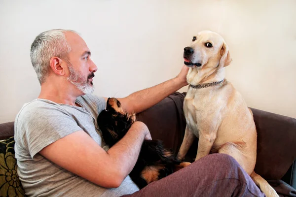 Мужчина с собаками дома. Владелец, сидящий вместе на диване и ласкающий милых собак. Счастливый красавчик гладит своих милых собак, сидя на диване в гостиной. Оуэн развлекается со своим питомцем . — стоковое фото