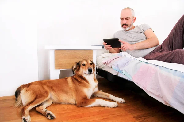 Man with dogs at home. Rough collie dog lying on under near to the bed and resting, while his owner on the bed shoots him with a smart phone tablet and takes a photo in the bedroom. Lovely dog, pet.