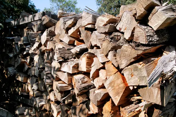 Cut wood, firewood for the winter. Cut logs fire wood and ready pieces of wood for heating wood. Lumber industry. Heating season, winter season. Renewable resource of energy. Environmental concept. — Stock Photo, Image
