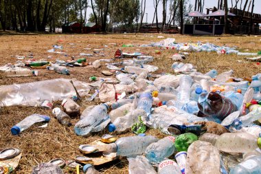 Plastik pet şişe yaptı çimenlerin üzerinde bir partiden sonra olay. Kullanılan boş şişe yere bir açık hava partisi sonra atılır. Birçok çöp, çöp kutusu, BIN, plastik torbalar.