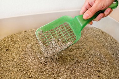 Temizlik kedi çöp kutu. El kedi çöp kutu yeşil spatula ile temizliyor. Tuvalet temizlik kum kedi kedi. Kedi dışkı temizleme. Kedi pisliği kaldırma plastik kürek tutan el. Yavru kedi çöp.