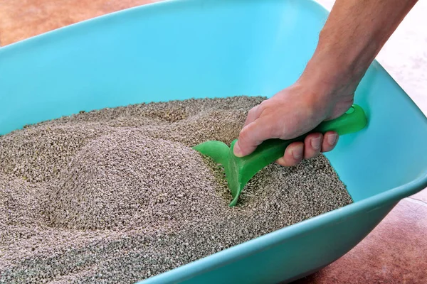 Cleaning cat litter box. Hand is cleaning of cat litter box with green spatula. Toilet cat cleaning sand. Man hand and cat litter box. Kitty litter. Plastic scoop and shovel. Cleaning cat excrement. — Stock Photo, Image