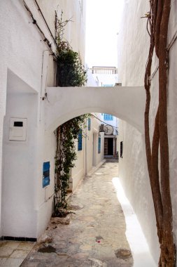 Mavi ve beyaz Akdeniz sahilinde görünümü Medine Tunus eski duvar ve ahşap kapı boyalı / mimari Arapça stil, seyahat, tatil. Turizm sezonu, tatil / oryantal ve geleneksel.