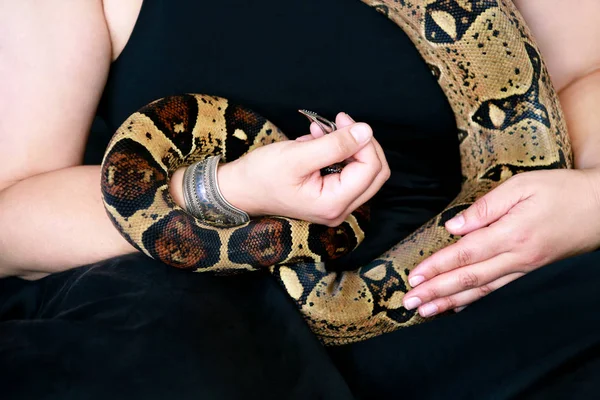 Yılanlı kadın eller, yaklaşın. Kadın, boa yılanını mücevherlerle elinde tutuyor. Egzotik tropikal soğuk kanlı sürüngen hayvanı, boa yılanı zehirli olmayan yılan türü. Hayvan konsepti. — Stok fotoğraf