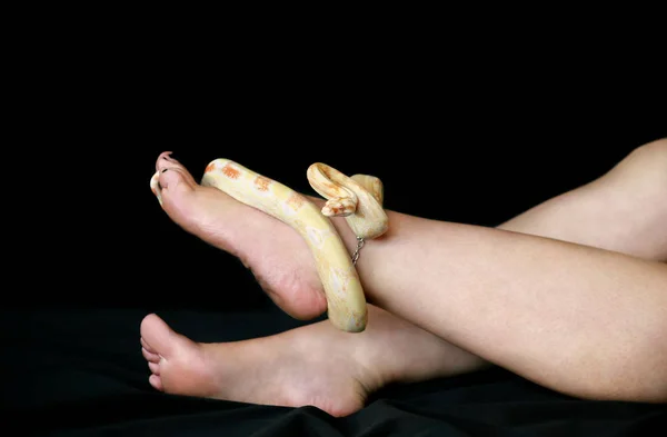 Vista de Pierna de mujer con serpiente. Boa no venenosa constrictor albino especies de serpientes se desliza, gatea y envuelve alrededor de pie y pierna hembra, de cerca. Animal reptil exótico de sangre fría. Concepto de mascota . — Foto de Stock