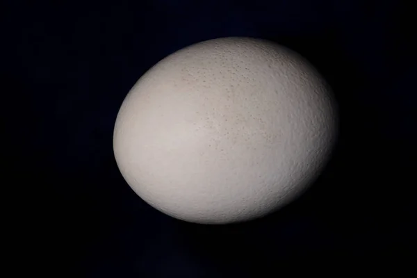 Nagy strucctojás elszigetelve, fekete háttérrel, közelről. Organikus friss tojás. Az egészséges étel fogalma. A strucctojás a születés szimbóluma. Egy afrikai strucc hatalmas fehér tojáshéja.. — Stock Fotó