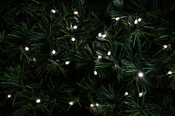 Традиційні різдвяні миготливі вогні, що висять на зеленому гілочці дерева сосни як прикрашений фон. Ялинкові гілки з струнними рисовими лампочками. Прикраси до святкування Різдва, святкова сцена . — стокове фото