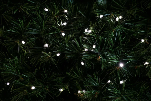 Традиционные рождественские мигающие огни висят на зеленых ветках соснового дерева в качестве декоративного фона. Ветви елки со струнными лампочками. Украшения для празднования Рождества, праздничная сцена . Лицензионные Стоковые Фото