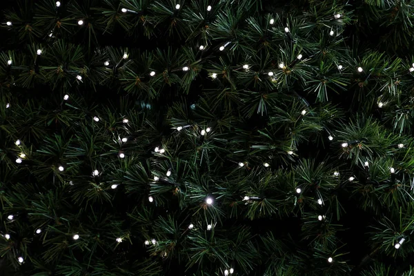 Geleneksel Noel ışıkları, arka plan olarak çam ağacının yeşil dallarında asılı duruyor. İpli pirinç ampullü firavun ağacı dalları. Noel kutlaması için süsler, tatil sahnesi.