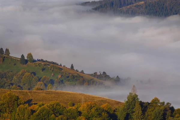dağlarda Vadisi'nde sis