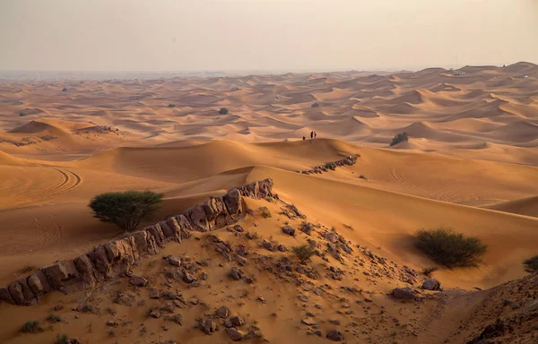 Échelle milieux du désert et des dunes, Dubaï, Émirats — Photo