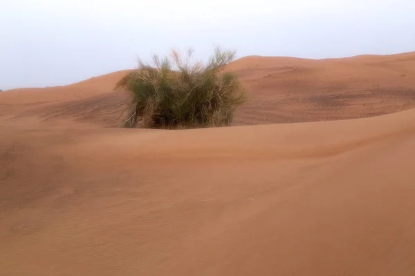 Fundos escala de deserto e dunas, Dubai, Emirates — Fotografia de Stock