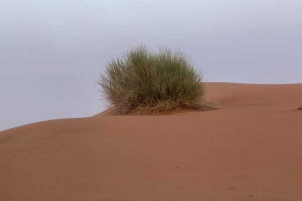 Skála hátterek sivatag és dűnék, Dubai, Emirates — Stock Fotó