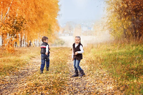 Pleased brother and sister running through the autumn birch alley — Stock Photo, Image