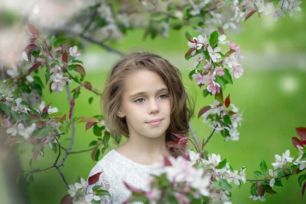 Retrato de menina adorável no jardim da macieira florescendo — Fotografia de Stock