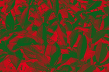 Arka plan, doku, kumaş, yüzey