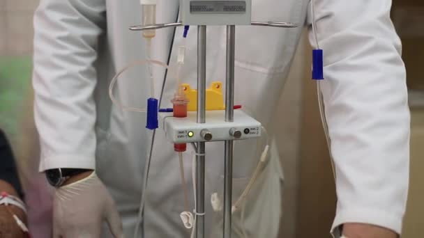 Le médecin ajuste le dispositif pour la plasmaphérèse — Video